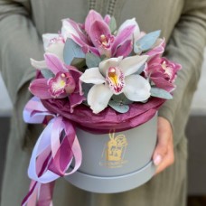A Box of Orchids